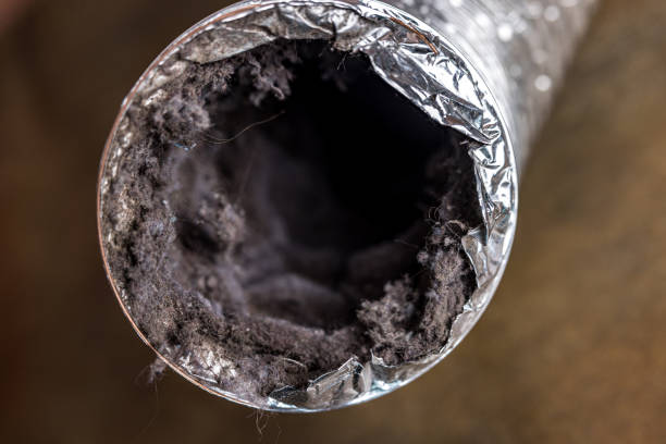 Best Dryer Vent Cleaning Services  in Altamont, NY